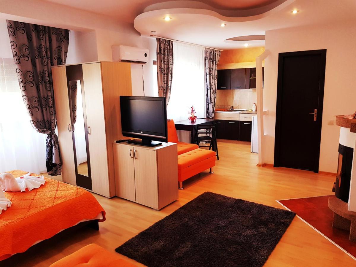 Pensiunea Red Rose Apartments Τιμισοάρα Εξωτερικό φωτογραφία