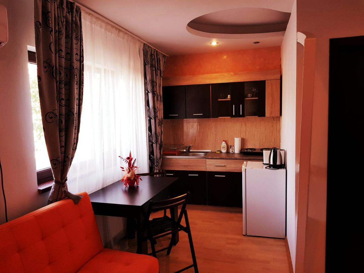Pensiunea Red Rose Apartments Τιμισοάρα Εξωτερικό φωτογραφία