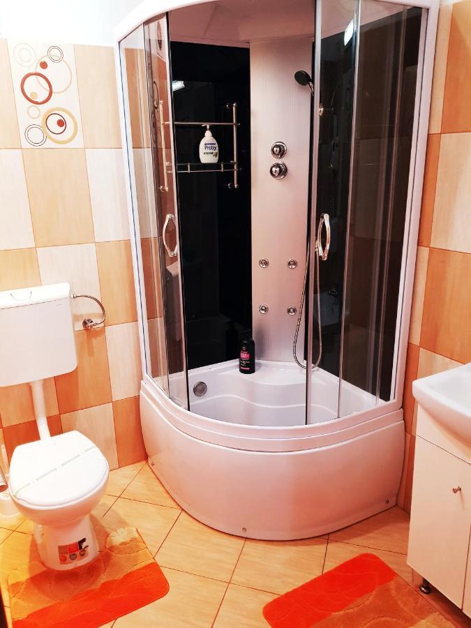 Pensiunea Red Rose Apartments Τιμισοάρα Εξωτερικό φωτογραφία
