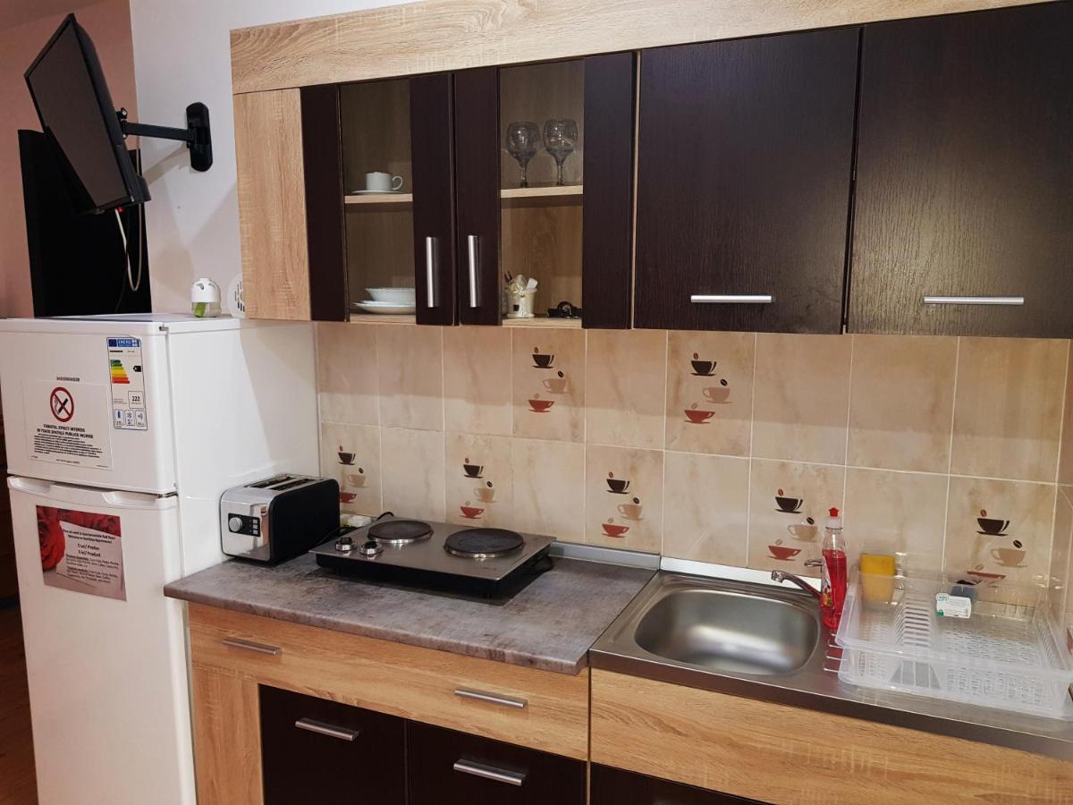 Pensiunea Red Rose Apartments Τιμισοάρα Εξωτερικό φωτογραφία
