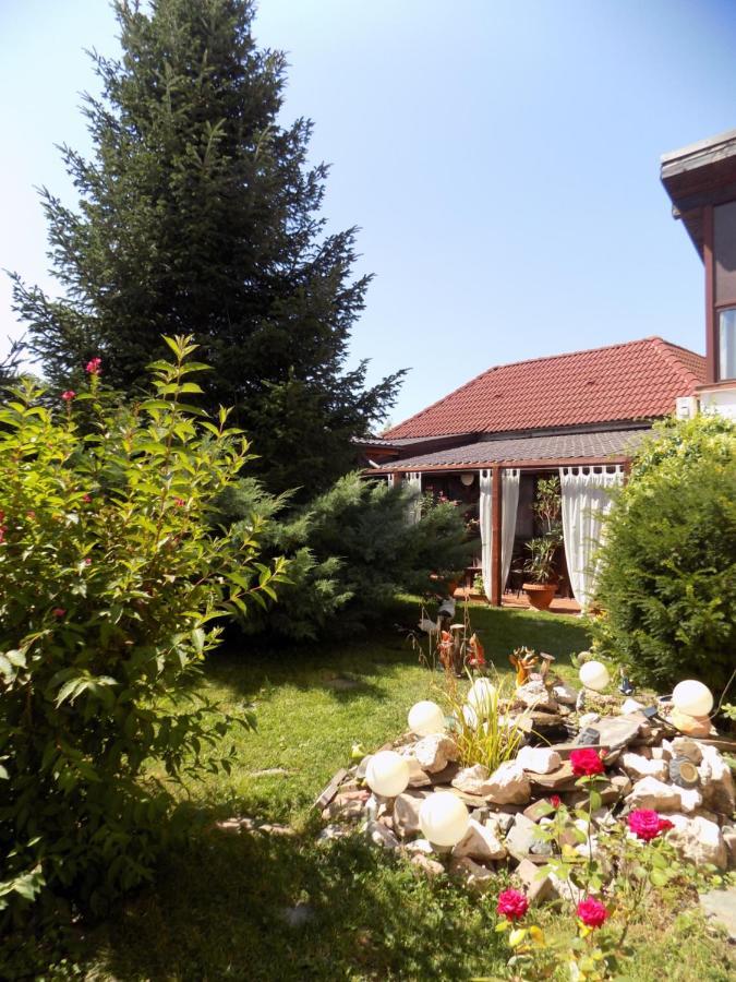 Pensiunea Red Rose Apartments Τιμισοάρα Εξωτερικό φωτογραφία