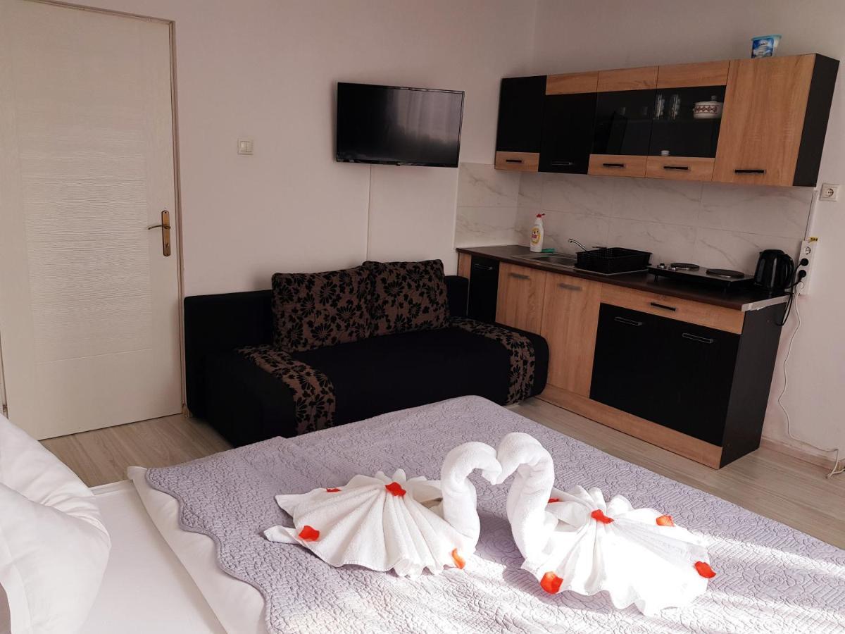 Pensiunea Red Rose Apartments Τιμισοάρα Εξωτερικό φωτογραφία