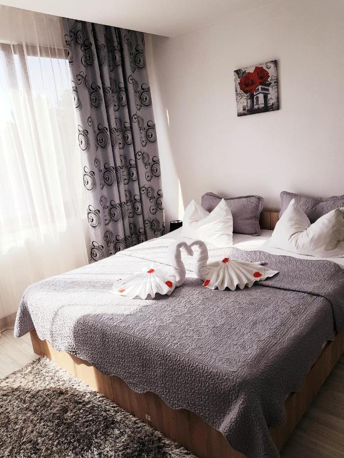 Pensiunea Red Rose Apartments Τιμισοάρα Εξωτερικό φωτογραφία