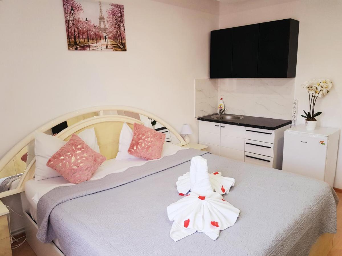 Pensiunea Red Rose Apartments Τιμισοάρα Εξωτερικό φωτογραφία