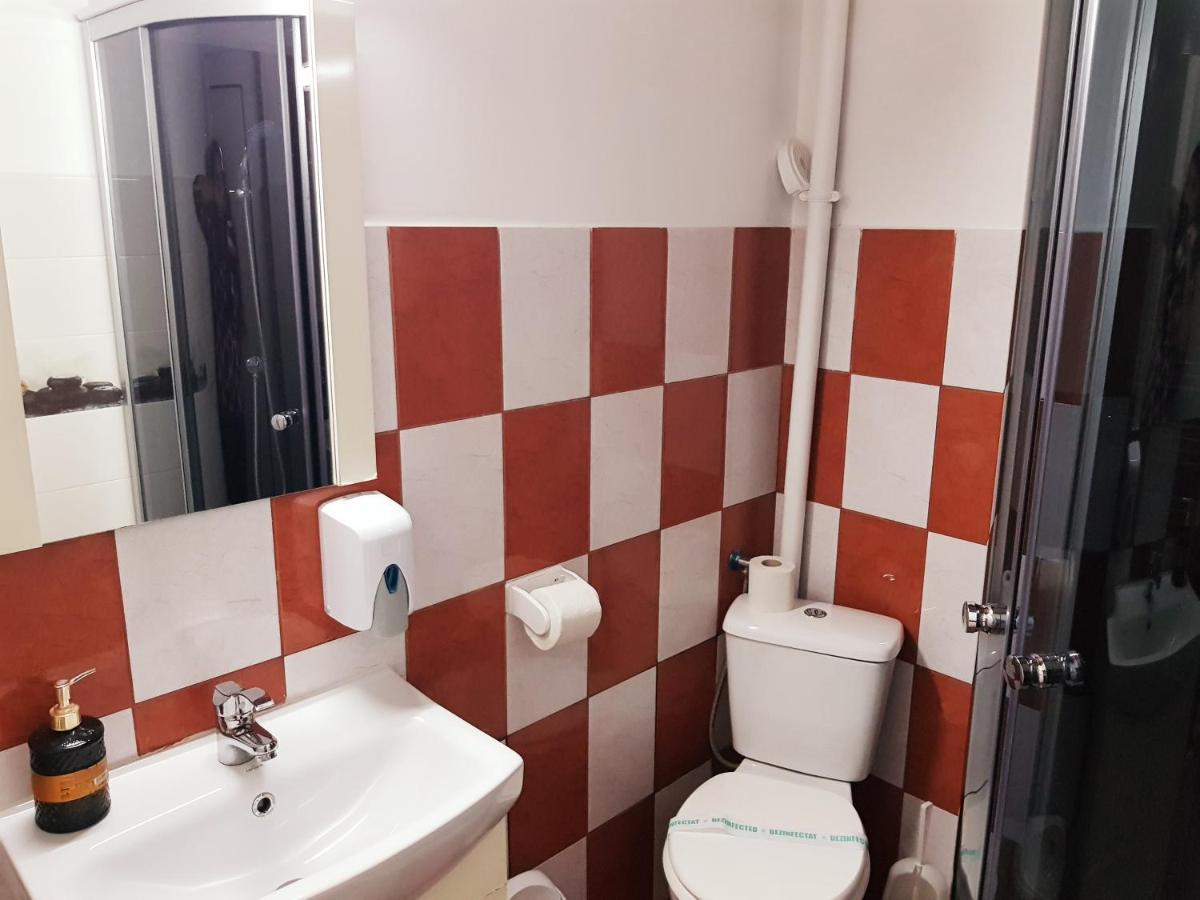 Pensiunea Red Rose Apartments Τιμισοάρα Εξωτερικό φωτογραφία