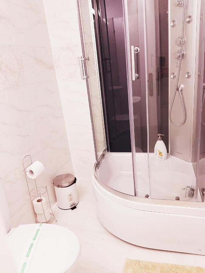 Pensiunea Red Rose Apartments Τιμισοάρα Εξωτερικό φωτογραφία