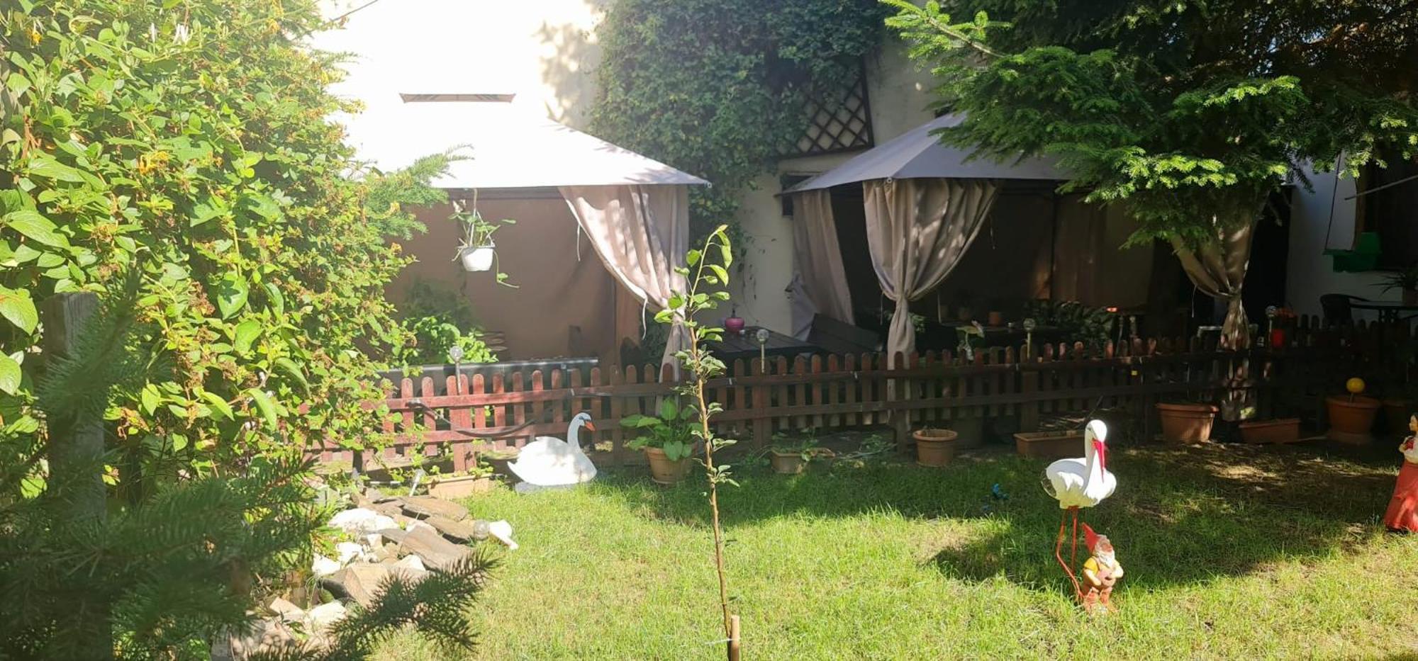 Pensiunea Red Rose Apartments Τιμισοάρα Εξωτερικό φωτογραφία