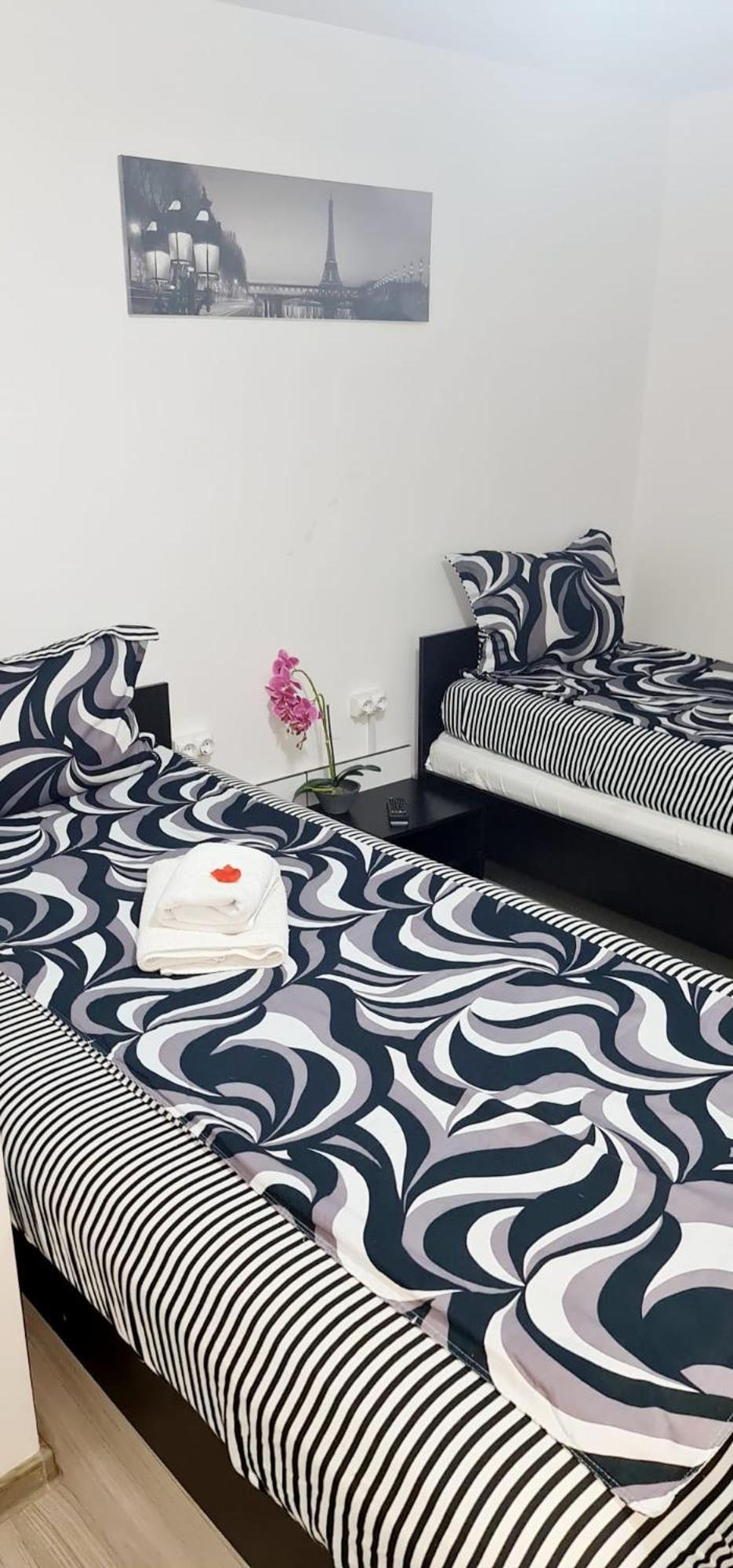 Pensiunea Red Rose Apartments Τιμισοάρα Εξωτερικό φωτογραφία