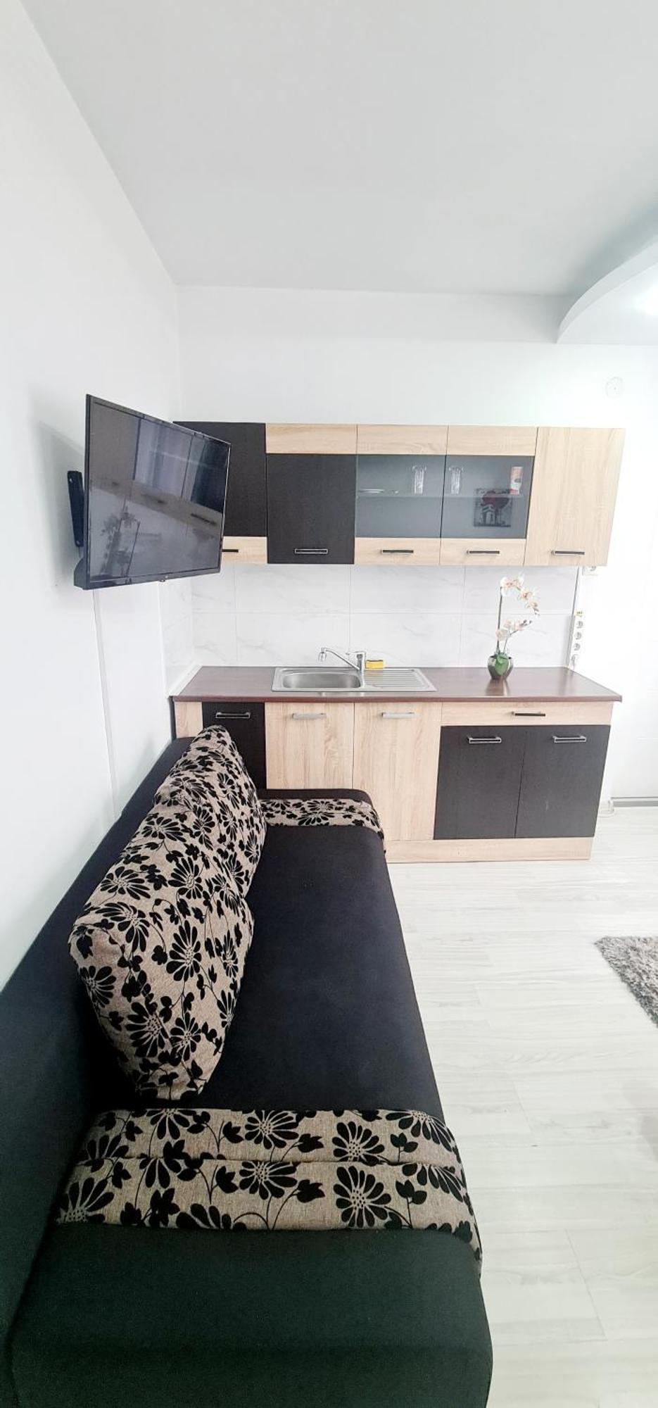 Pensiunea Red Rose Apartments Τιμισοάρα Εξωτερικό φωτογραφία