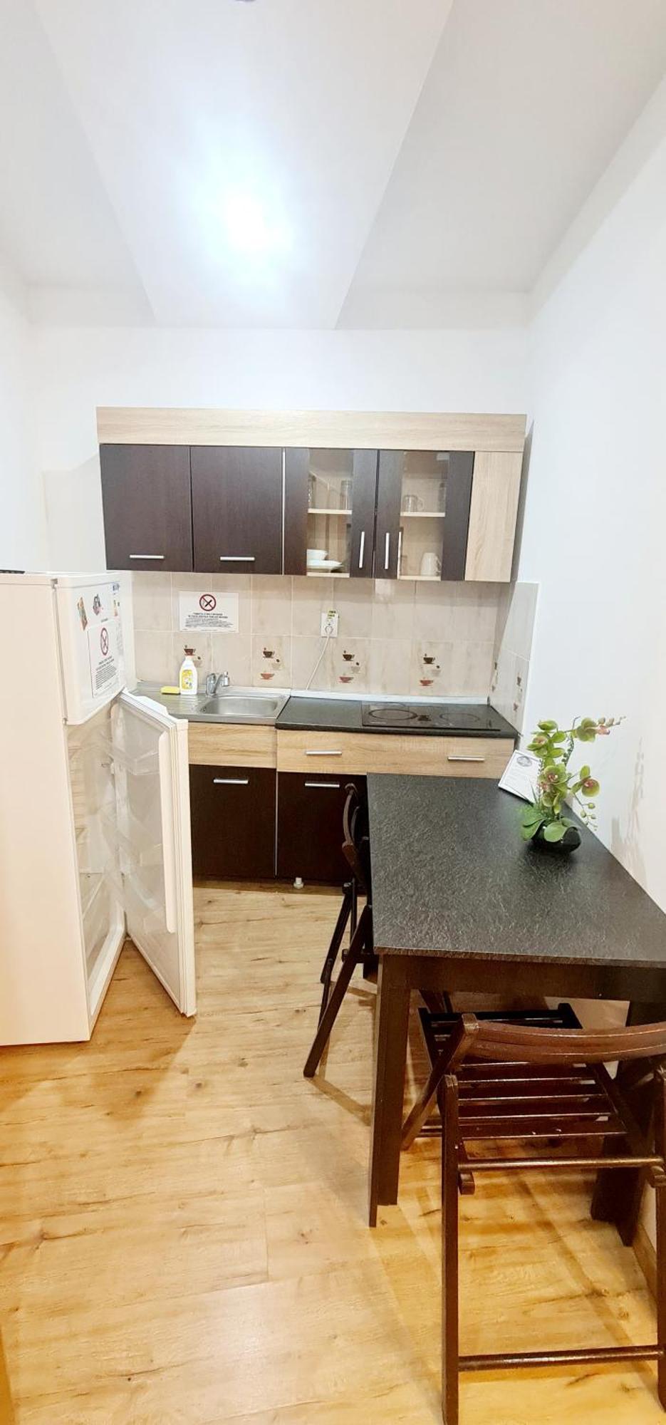 Pensiunea Red Rose Apartments Τιμισοάρα Εξωτερικό φωτογραφία