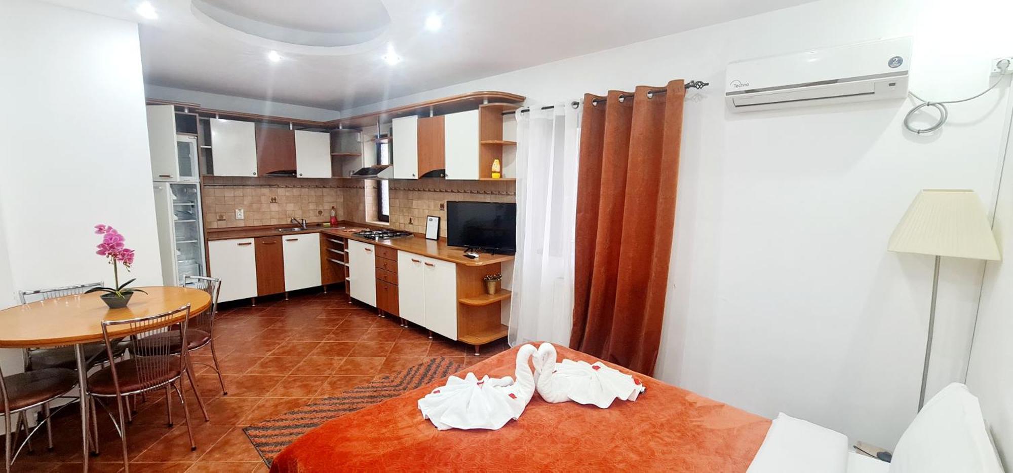 Pensiunea Red Rose Apartments Τιμισοάρα Εξωτερικό φωτογραφία