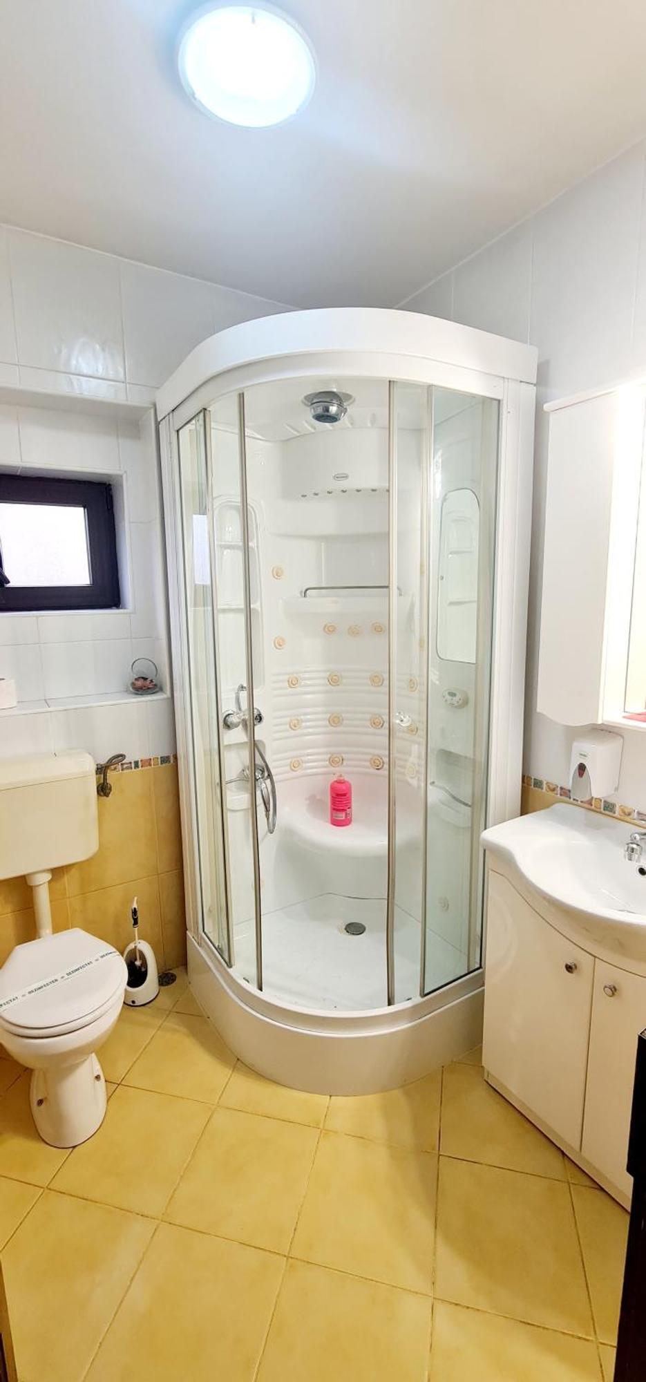 Pensiunea Red Rose Apartments Τιμισοάρα Εξωτερικό φωτογραφία