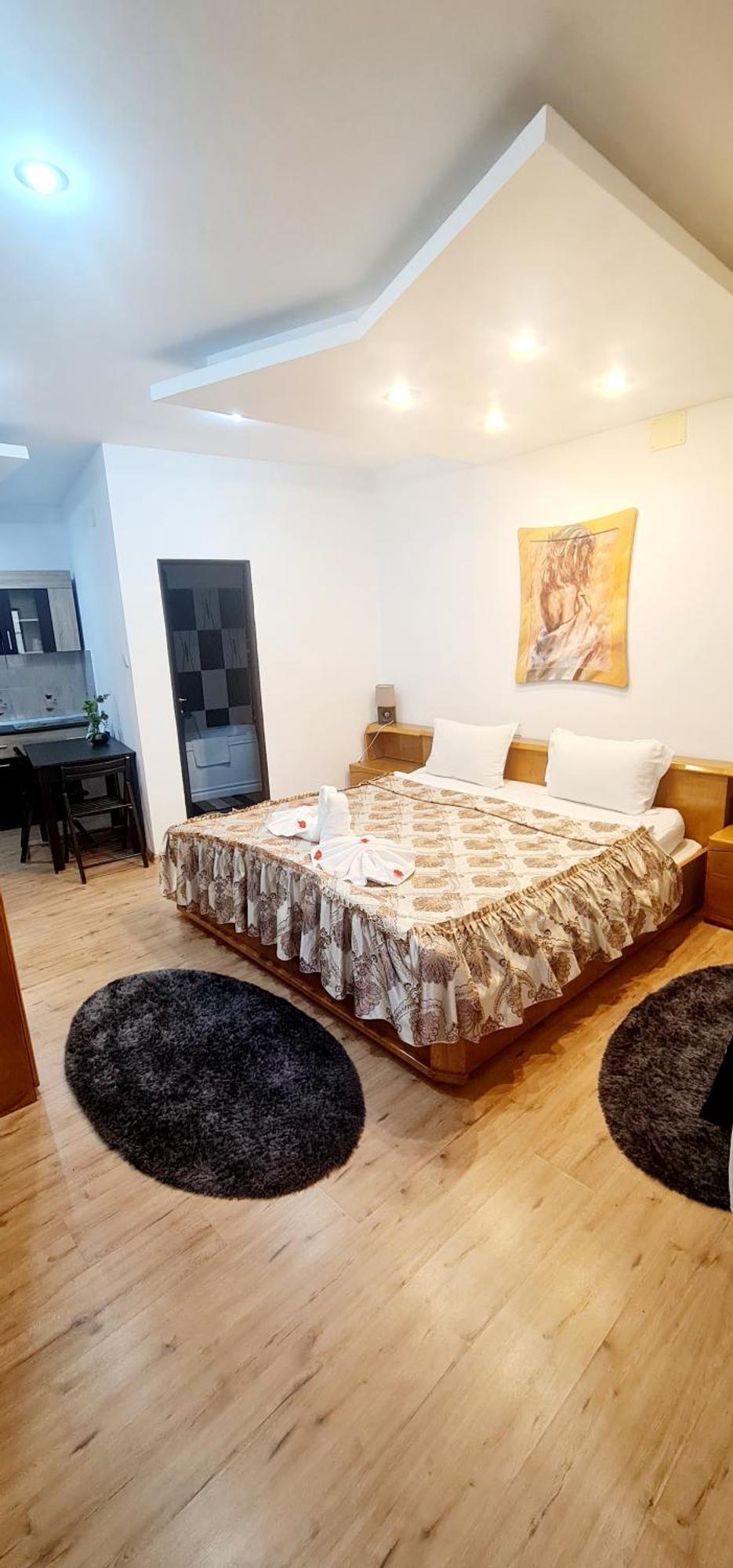 Pensiunea Red Rose Apartments Τιμισοάρα Εξωτερικό φωτογραφία