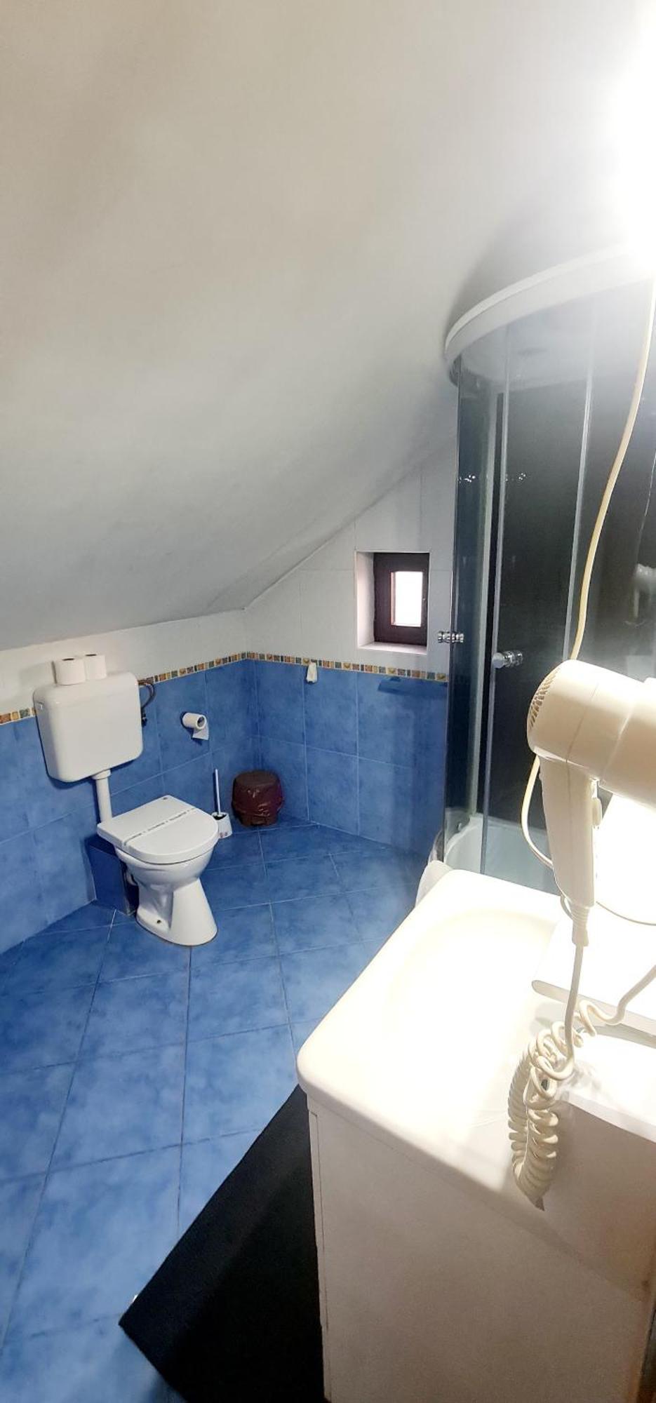 Pensiunea Red Rose Apartments Τιμισοάρα Εξωτερικό φωτογραφία
